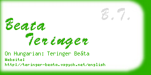 beata teringer business card
